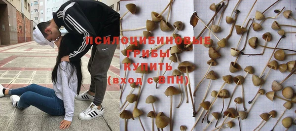 кокс Абдулино