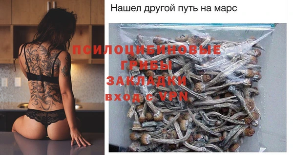 ешки Абинск